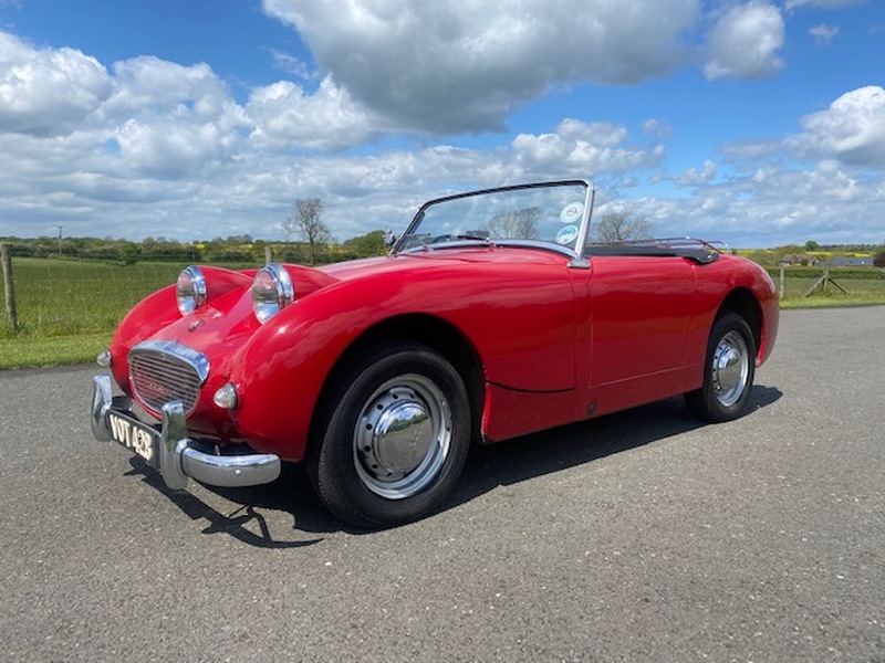 AUSTIN HEALEY FROGEYE SPRITE  (1959)
